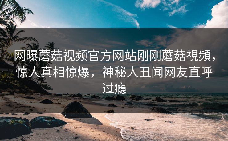 网曝蘑菇视频官方网站刚刚蘑菇視頻，惊人真相惊爆，神秘人丑闻网友直呼过瘾
