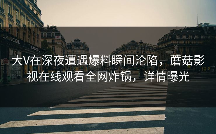 大V在深夜遭遇爆料瞬间沦陷，蘑菇影视在线观看全网炸锅，详情曝光